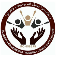 TIGMEIN logo